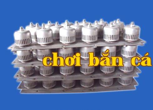Đĩa phao kiểu bong bóng