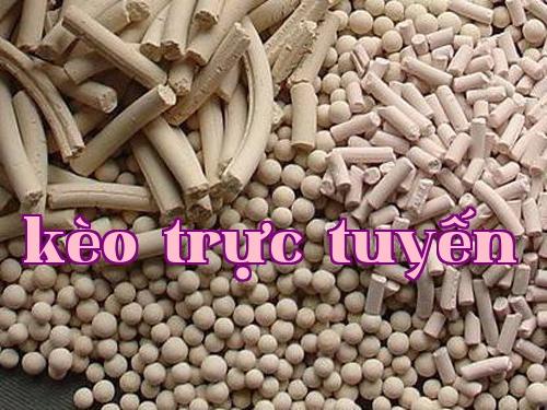 Công ty Cổ phần Quảng Nam Thuận Hoa của Trung Quốc